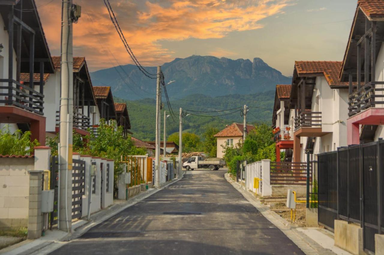 Casa Gabrielle Villa Călimăneşti Dış mekan fotoğraf